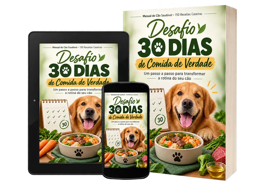 Capa do super bônus Desafio 30 Dias de Comida de Verdade